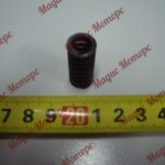 Pruzhina klapana 27B0034_YJSW315-6-25_